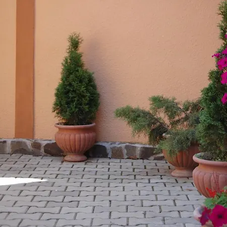 Pensiunea Casa Sighisoreana 3*