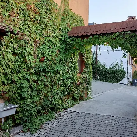 Pensiunea Casa Sighisoreana