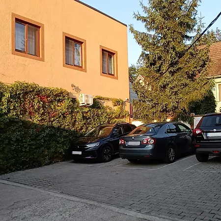 Pensiunea Casa Sighisoreana 3* 시기쇼아라